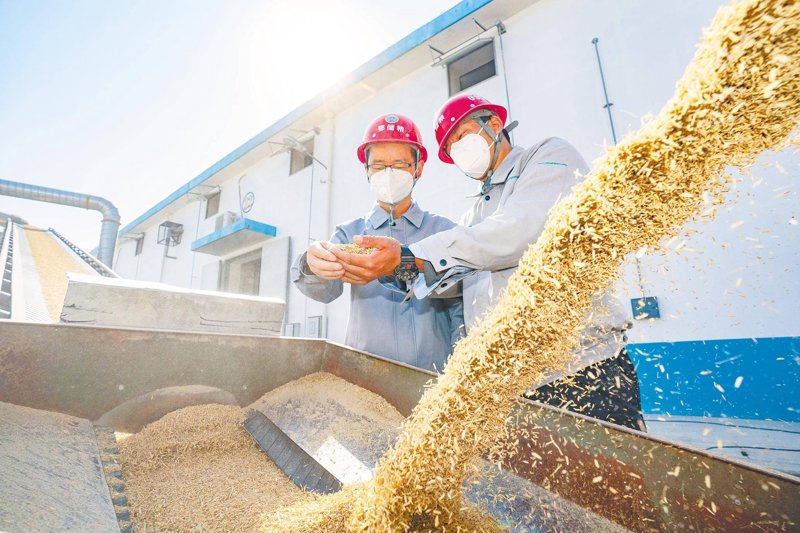 巧用批发策略，大米面粉经营更轻松