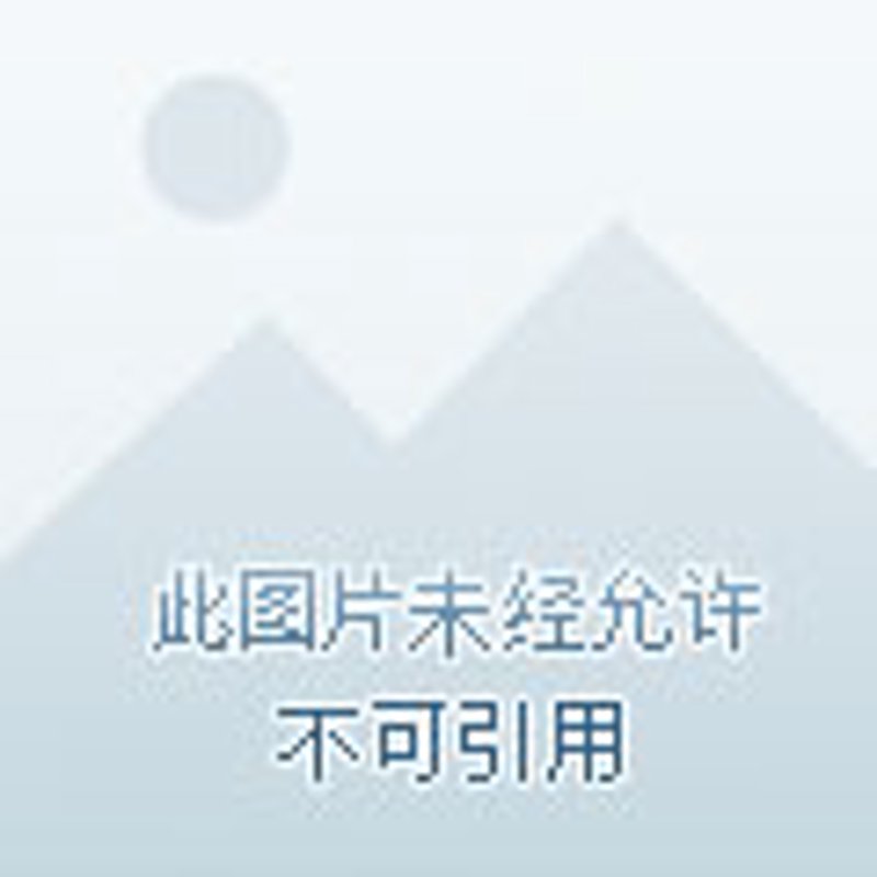 洞察粮油批发趋势：未来商业模式走向